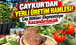 ÇAYKUR'dan Yerli Üretim Hamlesi! Çay Atıkları Ekonomiye Kazandırılacak