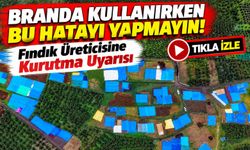 Fındık Üreticisine Kurutma Uyarısı: Branda Kullanırken Bu Hatayı Yapmayın