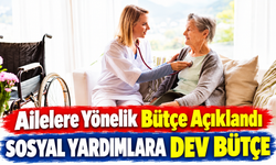 2027 Sosyal Yardım Bütçesi Açıklandı! Yaşlı, Engelli ve Çocuklu Ailelere Milyarlık Kaynak