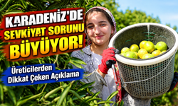 Karadeniz'de Sevkiyat Sorunu Büyüyor! Adanalı Üreticilerden Dikkat Çeken Açıklama