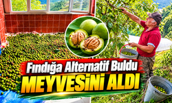 Şalpazarı’nda fındığa alternatif aradı, cevizden 1,5 ton ürün bekliyor