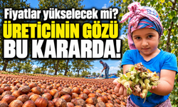 Fındık Fiyatlarında Yeni Dönem Başlıyor Mu? TMO'nun Kararı Sonrası Trabzon'dan Kritik Açıklama
