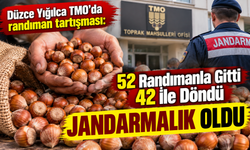 Düzce'de TMO'ya 12 Ton Fındık Götürdü! Randımanı Görünce Jandarmaya Koştu