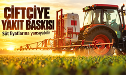 Yakıt Maliyeti Guernsey Çiftçisini Zorluyor: Süte Zam Uyarısı