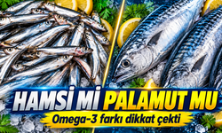 Hamsi ve Palamut Karşılaştırıldı: Omega-3 Farkı Dikkat Çekti