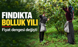 KARADENİZ’DE KABUKLU FINDIK REKOLTESİ FİYATLARI GERİLETTİ