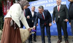Trabzon'da Hayvancılığa Yüzde 90 Hibe Desteği: Maçka'da 36 Üreticiye 180 Koyun Dağıtıldı!