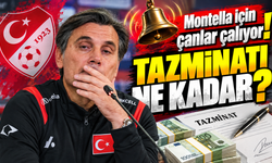 Montella için işler tersine döndü: Milli Takım'da 5 milyon euroluk detay gündemde
