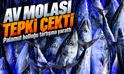 Palamut Bolluğunda Av Molası Çağrısı Tepki Çekti, Birlik Açıklama Yaptı