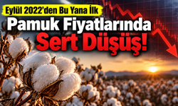 Pamuk Fiyatlarında Sert Düşüş: Eylül 2022’den Bu Yana İlk