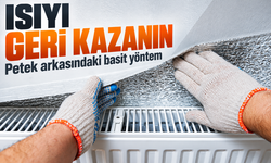 Petek Arkasına Yansıtıcı Folyo Koymak Isı Kaybını Nasıl Azaltıyor?