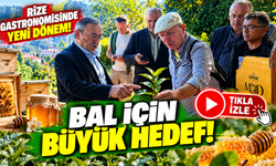 Rize Gastronomisinde Yeni Dönem! Bal, Mandalina ve Çaykopit