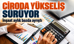Toplam Ciro Ağustosta Yükseldi: İnşaat Aylık Bazda Ayrıştı