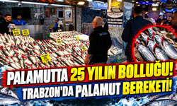 Trabzon'da Palamut Bolluğu! Fiyatı Gören Tezgaha Koşuyor