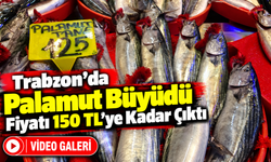 Trabzon’da Palamut Büyüdü: Fiyatı 150 Tl’ye Kadar Çıktı