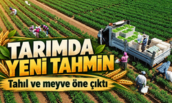 Bitkisel Üretimde Yeni Tahmin: Tahıl ve Meyvede Artış Bekleniyor