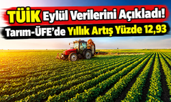 Tarım-üfe’de Yıllık Artış Yüzde 12,93: Sebze Grubu Öne Çıktı
