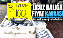 Palamut Bolluğu Fiyatları Düşürdü, Av Sınırlaması Gündem Oldu