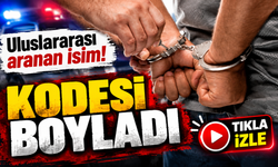 İçişleri Bakanlığı Duyurdu: İstanbul'da Yakalanan İsim Şaşırttı!