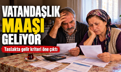 Vatandaşlık Maaşında Takvim Ve Gelir Kriteri Netleşiyor