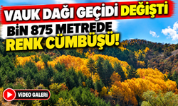 Vauk Dağı Geçidi Sonbaharın Renklerine Büründü