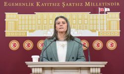 Suiçmez’den Kadın Cinayetlerine Tepki: “ilgilileri Göreve Davet Ediyorum”