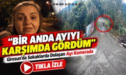 Giresun’da Sokaklarda Dolaşan Ayı Kamerada; “Bir Anda Ayıyı Karşımda Gördüm”