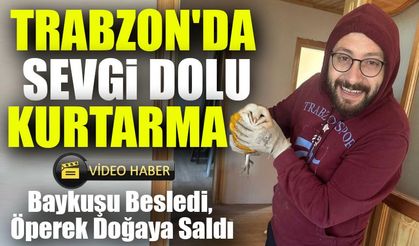 Trabzon'da Sevgi Dolu Kurtarma: Baykuşu Besledi, Öperek Doğaya Saldı