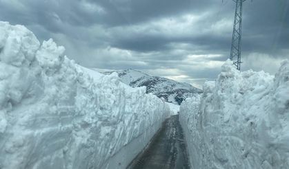 Karla kaplı Mesudiye-Çambaşı yolu nisanda ulaşıma açıldı