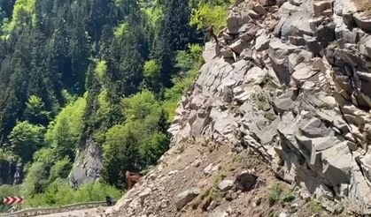 Giresun-Sivas karayolunda tehlike oluşturan kayalar yamaçlardan kontrollü olarak temizleniyor