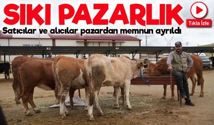 Bölgemizde kurban pazarlığında renkli anlar: Fiyatta anlaştılar, sarılıp helalleştiler
