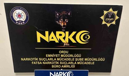 Ordu’da uyuşturucu operasyonlarında 1 tutuklama