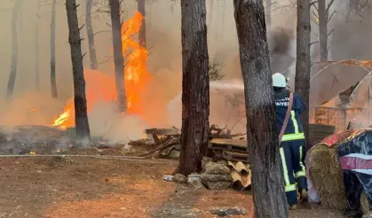 Antalya'daki 2 orman yangınına müdahale sürüyor
