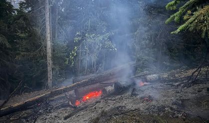 1 Hektar Zarar Gördü! Gümüşhane'de Orman Yangını...