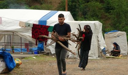 Mevsimlik İşçiler Çadırları Kurdu! Fındık Hazırlıkları Başlıyor
