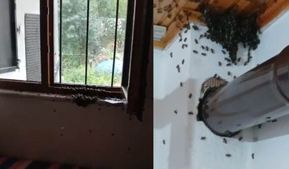 Köy Evinde Arı İşgali! Ev Sahibi Çözümü Kostümde Buldu...