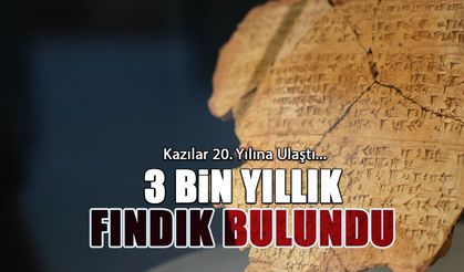 3 Bin Yıllık Fındık Bulundu! Kazılar 20 Yıldır Sürüyor