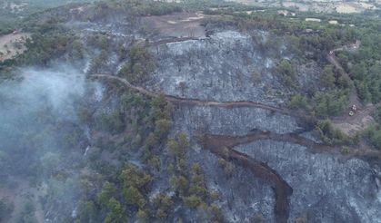 Türkiye’de orman alarmı: Bir ayda 90 bin hektar alan kül oldu