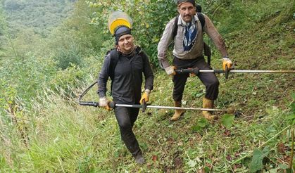 Bahçe Altı Temizlik Mesaisi Başladı! Fındık Hasadına Hummalı Hazırlık