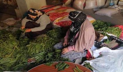 Kış Yaklaştı! Konserve ve Turşu Mesaisi Başladı...