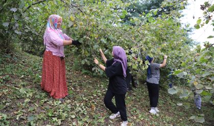 Ordu'da 10 Bin İşçi ile 3 Bin Üretici Buluştu!