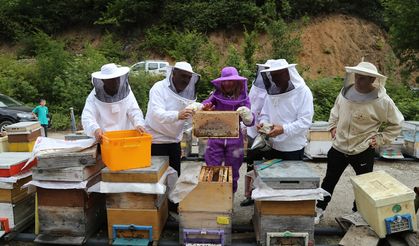 Kafkas Arısının Bal Hasadı Başladı! Rekolte Yüzleri Güldürdü