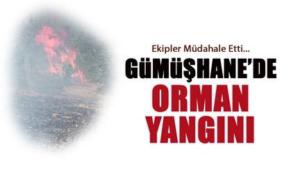 Gümüşhane'de Orman Yangını! Sebebi Belli Oldu...