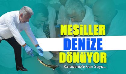 Karadeniz’e Can Suyu! Nesiller Denize Dönüyor