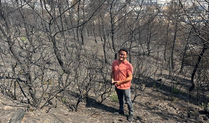 Kök Yanması Yeni Orman Yangını Başlatır mı? Uzmandan Açıklama...