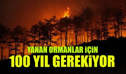 3 Bin Hektar Yandı! Yenilenmesi 100 Yıl Alacak...