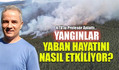 Orman yangınları yaban hayatını nasıl etkiliyor? KTÜ'lü Profesör Anlattı...