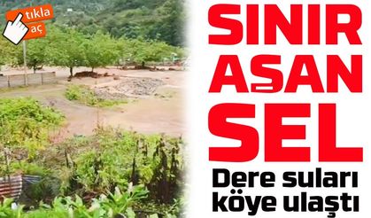 Sınır Aşan Sel: Gürcistan’dan Gelen Taşkın Macahel’de Hasara Yol Açtı