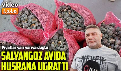 Deniz salyangozu avı da palamut gibi balıkçıyı hayal kırıklığına uğrattı