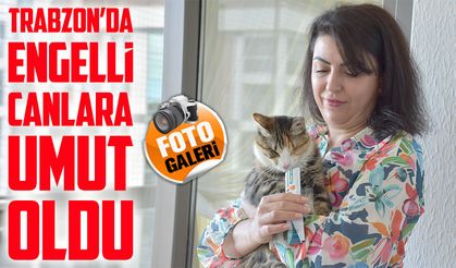 Trabzonlu hayvansever, görme engelli kedilere yuva oldu